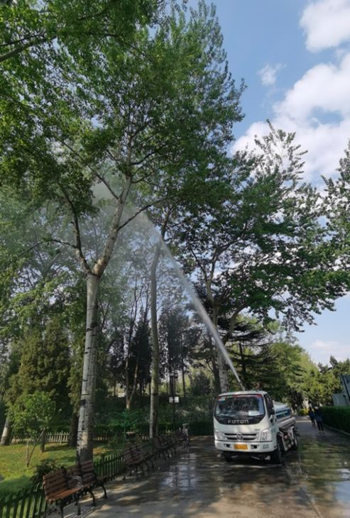 期将出现在4月10日至15日,主要影响五环内城区,主要飞絮树种为毛白杨